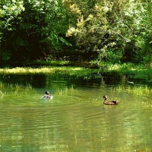 Mosteiro de Tibães, Braga