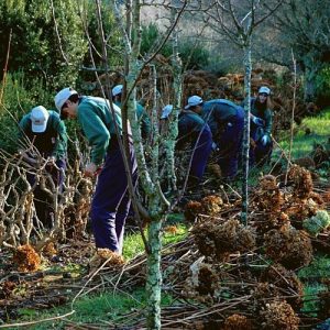 Mosteiro de Tibães, Braga
