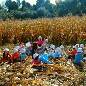 Mosteiro de Tibães, Braga